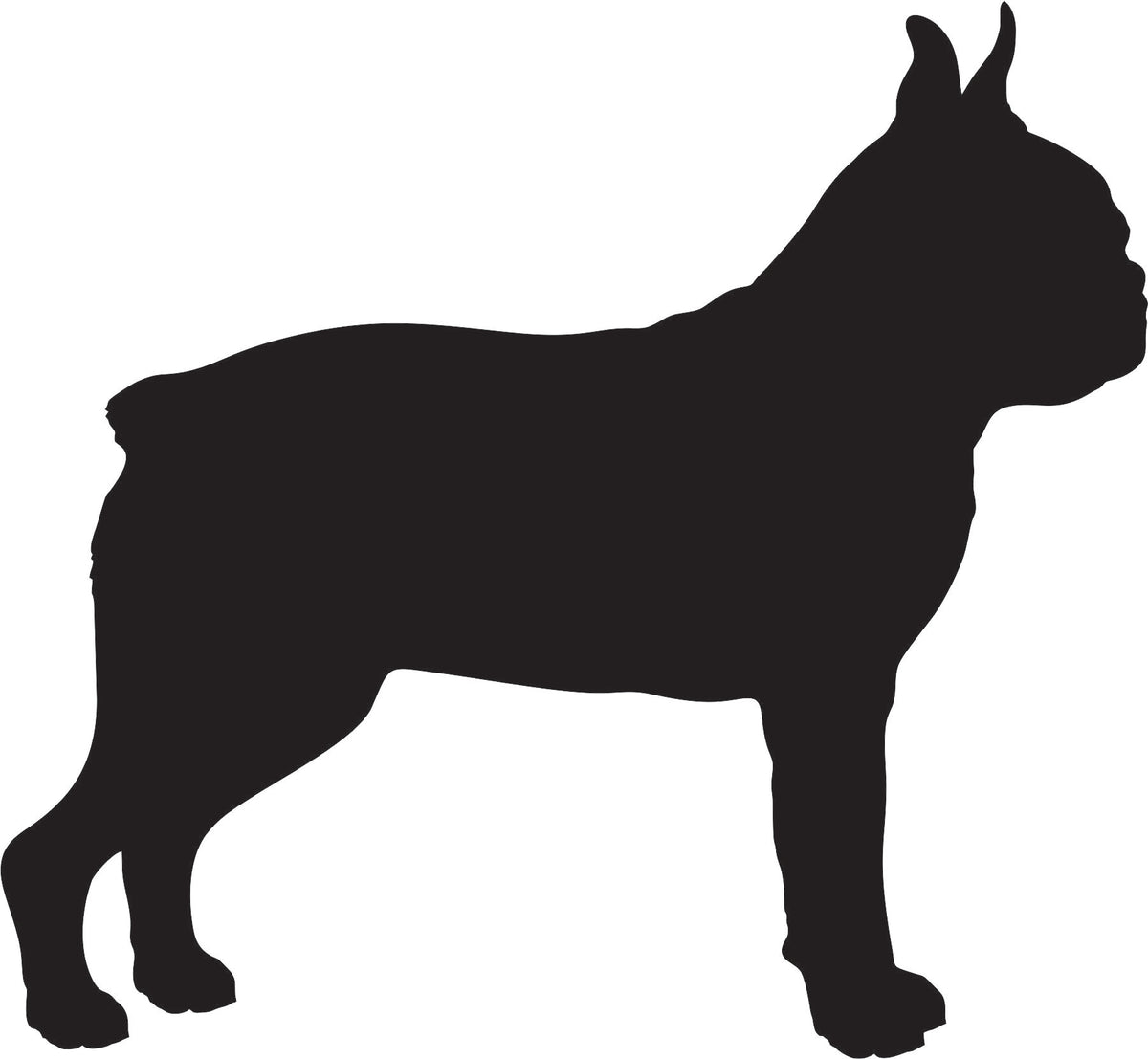 Dog - Boston Terrier Silhouette