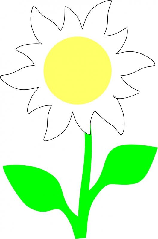 Daisy Set Laser Cut Appliques