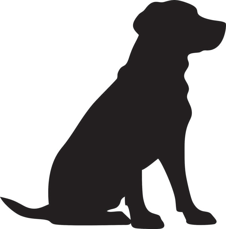 Dog - Labrador