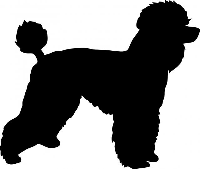 Dog - Poodle Laser Cut Silhouette (Size: 10"W, Direction: facing right)