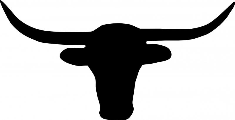 Longhorn Head Silhouette Laser Cut Applique (Size: 8"W)