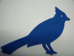 Blue Jay Laser Cut Appliques (Size: with FUSIBLE - 5"H, Color: Blue , Direction: Facing left)