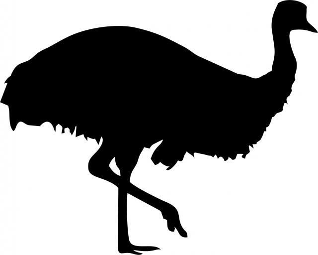 Emu Laser Cut Silhouette (Size: 9"W, Direction: facing right)