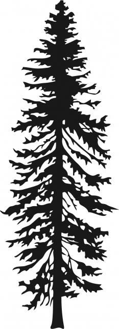 Tall Tree #6 Silhouettes Laser Cut Appliques (Size: 9"H, Color: Black)