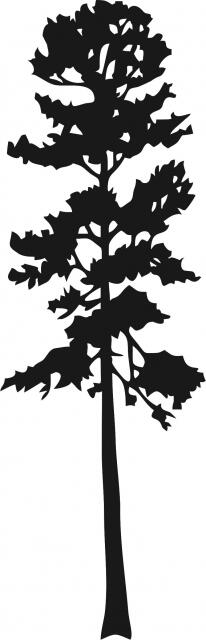 Tall Tree #7 Silhouettes Laser Cut Appliques (Size: 9"H, Color: Black)