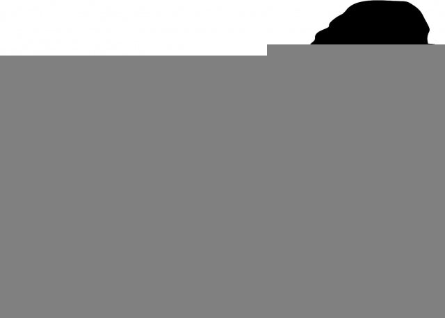 Dog - Cavalier Spaniel Laser Cut Silhouette (Size: 10'W, Direction: facing right)