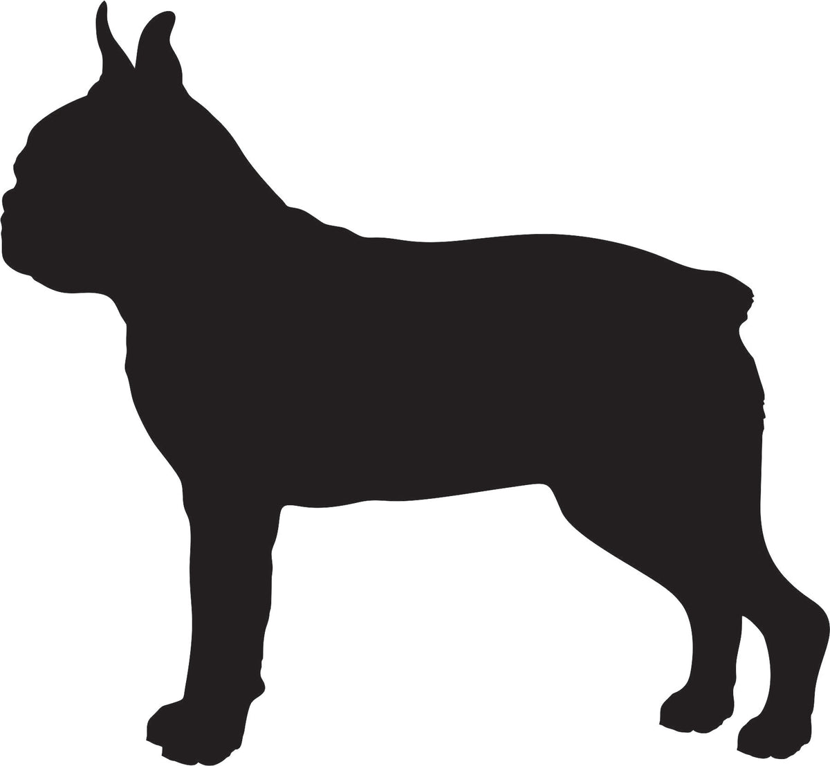 Dog - Boston Terrier Silhouette