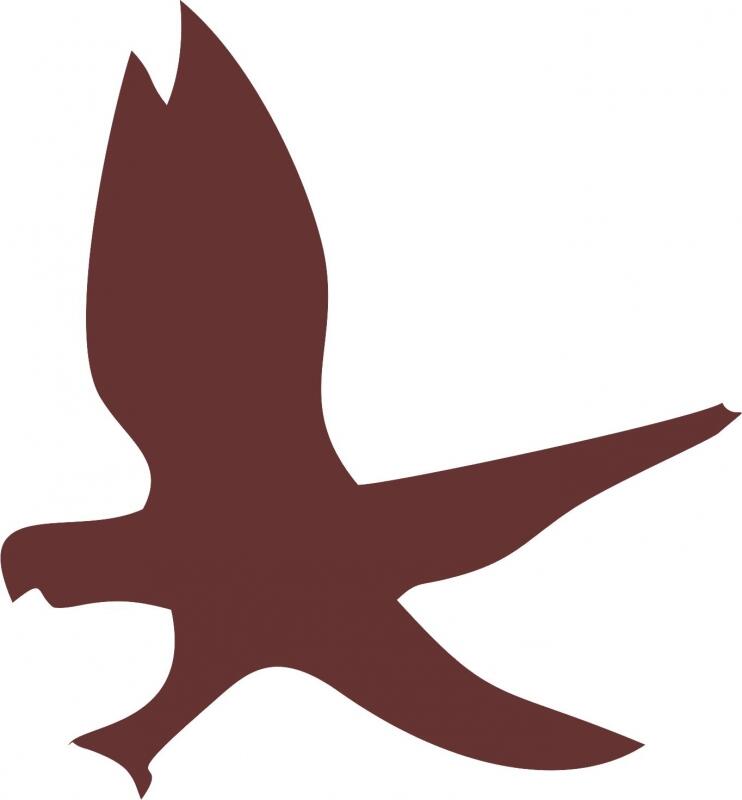 Eagle Laser Cut Appliques