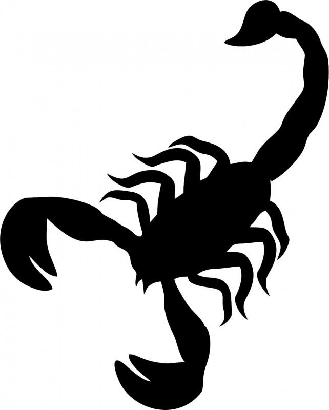 Scorpio Silhouette Laser Cut Applique