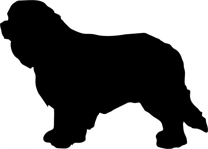 Dog - Cavalier Spaniel Laser Cut Silhouette