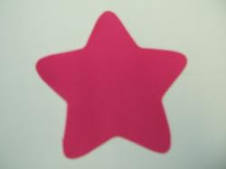 Star Laser Cut Appliques