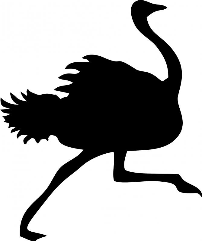 Ostrich Laser Cut Silhouette