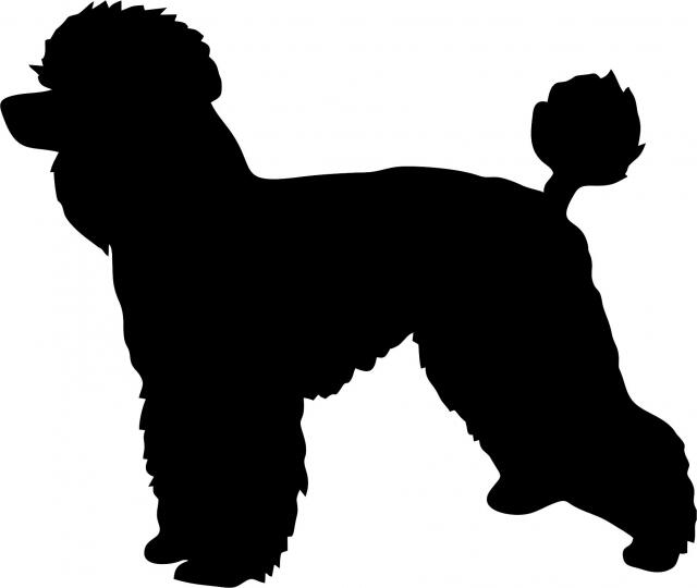 Dog - Poodle Laser Cut Silhouette