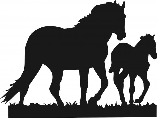 Horse - Stallion & Colt Laser Cut Silhouettes