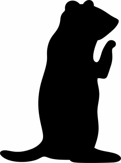 Prairie Dog