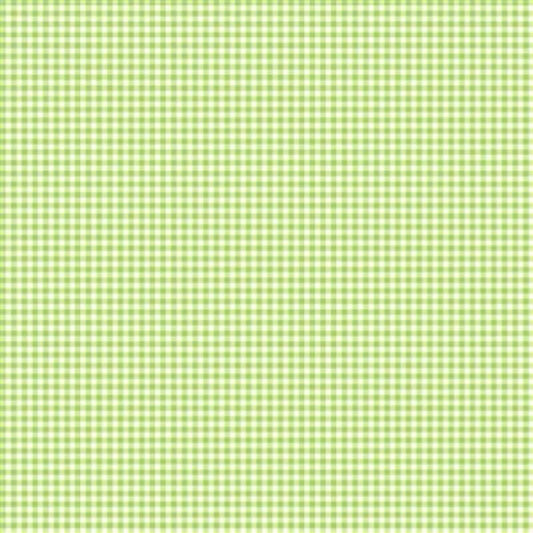 Susybee Coordinates - Green Gingham
