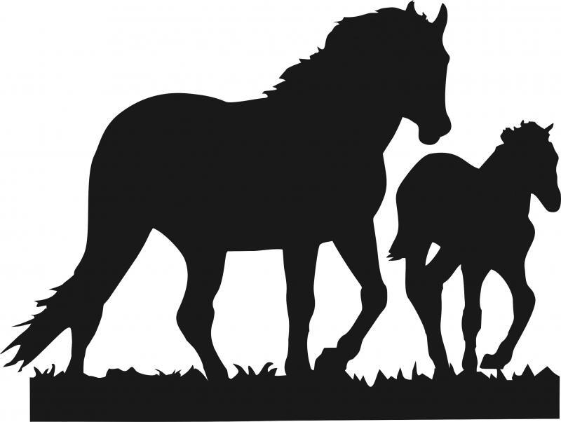 Horse - Stallion & Colt Laser Cut Silhouettes