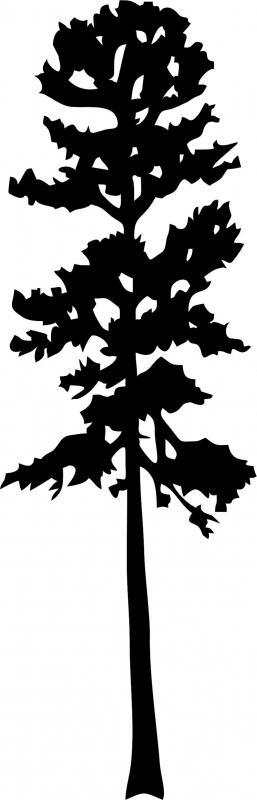 Tall Tree #7 Silhouettes Laser Cut Appliques