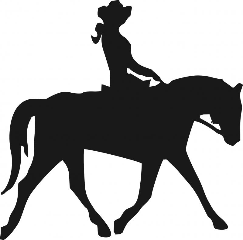 Cheyenne's Trail Silhouette Laser Cut Appliques