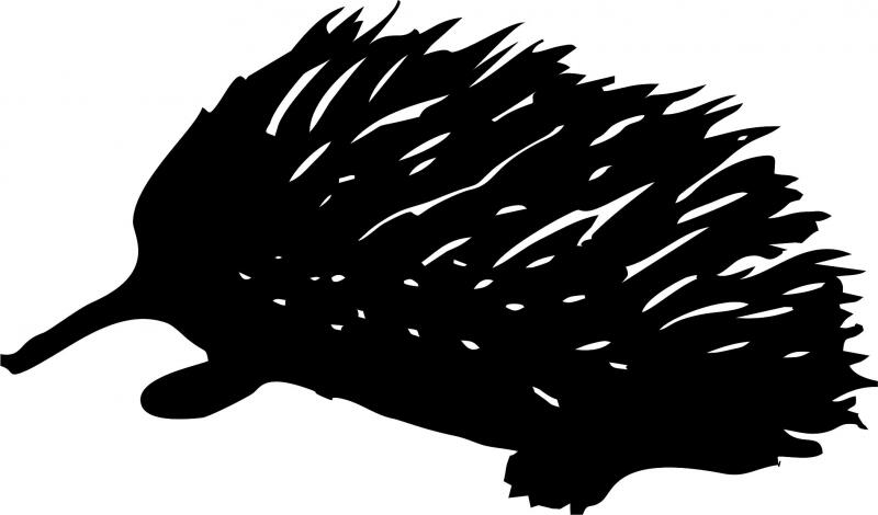 Echidna Laser Cut Silhouette