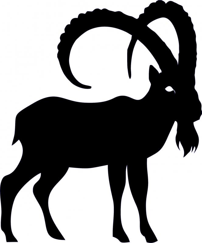 Capricorn Silhouette Laser Cut Applique