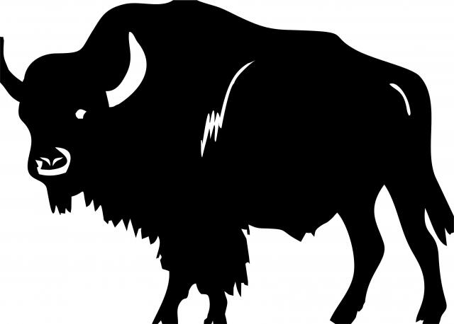Buffalo #1 Silhouette Laser Cut Applique