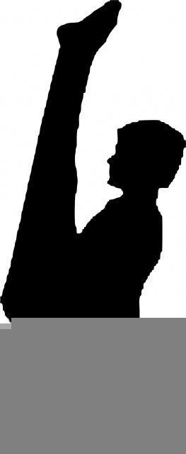 Male Gymnast on Bars Laser Cut Appliques