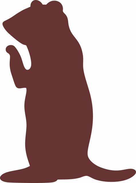 Prairie Dog