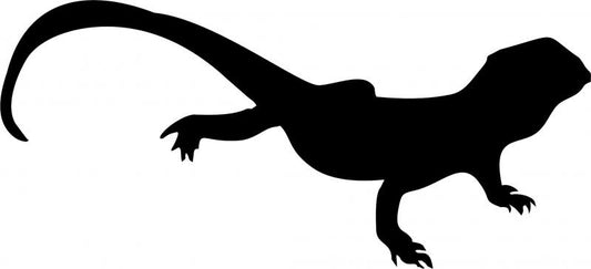 Lizard Laser Cut Silhouette