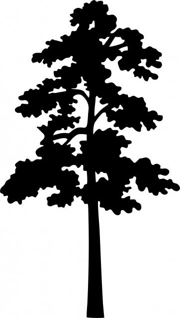 Tall Tree #9 Silhouettes Laser Cut Appliques