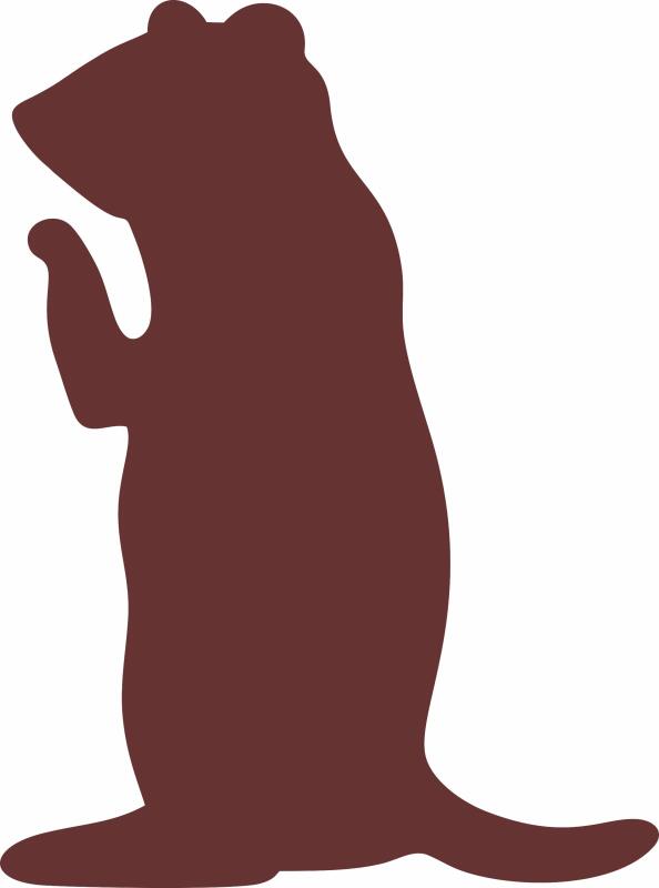 Prairie Dog