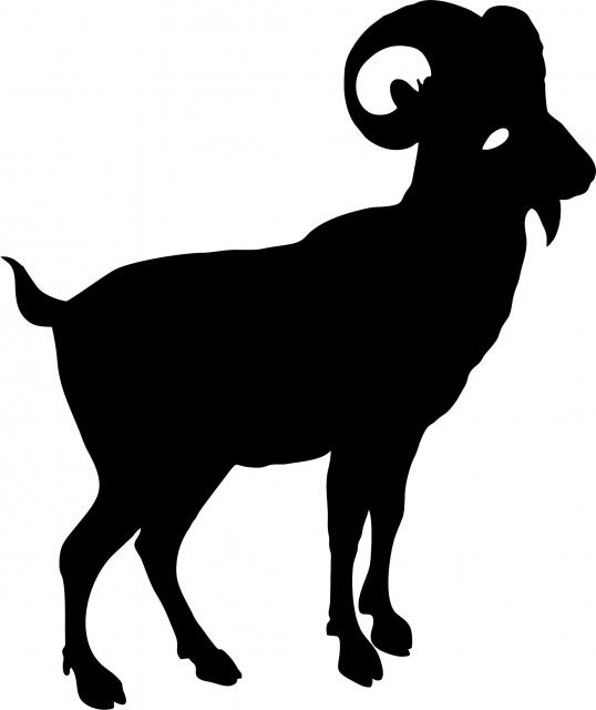 Aries Silhouette Laser Cut Applique