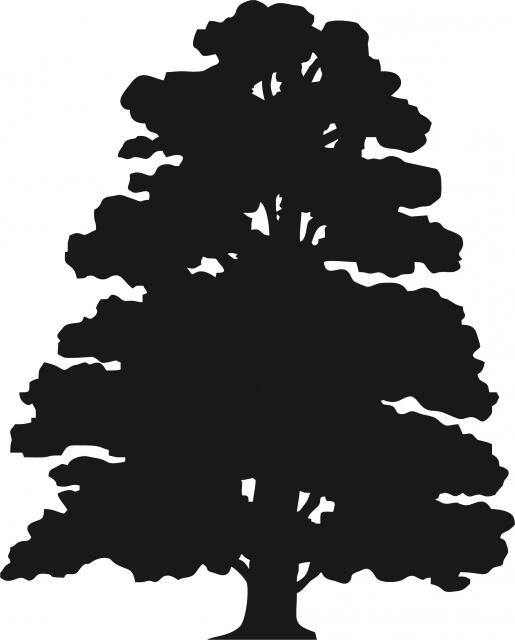 Tall Tree #8 Silhouettes Laser Cut Appliques (Size: 10"H, Color: Black)