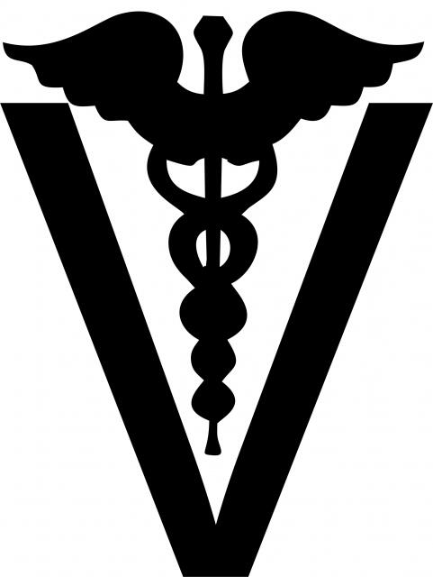 Veterinarian Symbol Laser Cut Appliques (Size: with FUSIBLE - 9"H, Color: Wings)