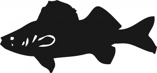 Fish -Walleye Silhouette Laser Cut Appliques (Size: with FUSIBLE - 7"W, Direction: facing left)
