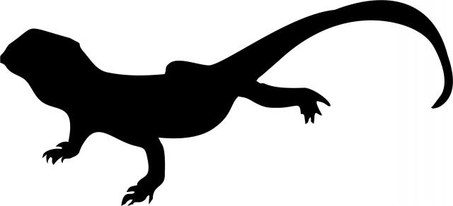 Lizard Laser Cut Silhouette  (Size: 9"W, Direction: facing left)