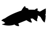 Fish -Salmon Silhouette Laser Cut Appliques (Size: 9"W, Direction: facing left)