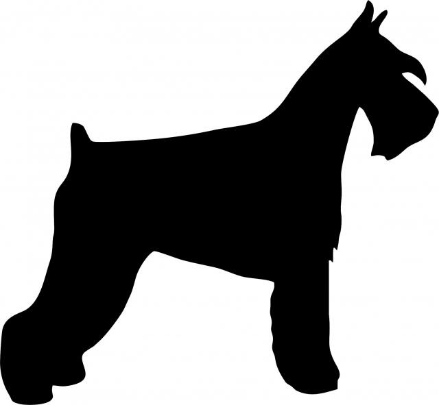 Dog - Schnauzer Laser Cut Silhouette  (Size: 9"W, Direction: facing right)