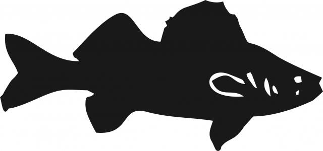 Fish -Walleye Silhouette Laser Cut Appliques (Size: with FUSIBLE - 9"W, Direction: facing right)